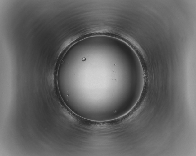 X0000112750834200908201416