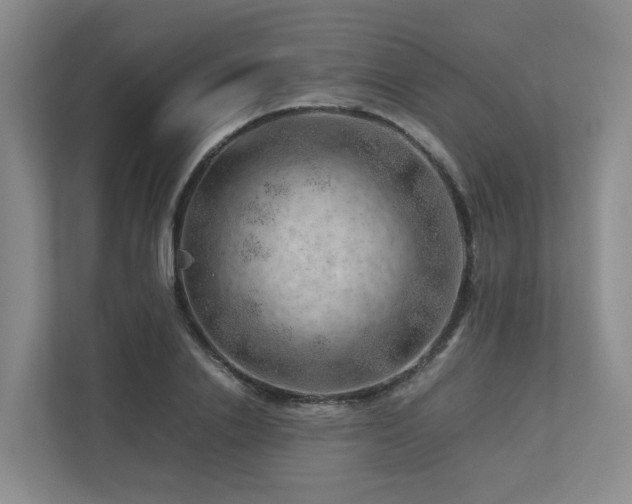 X0000112750838200908201416