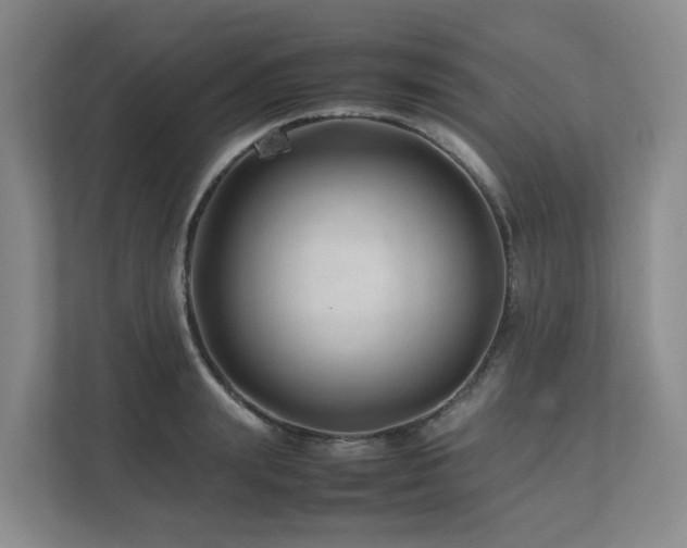 X0000112750847200908201416
