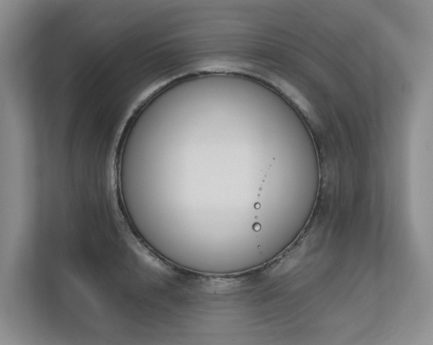 X0000112750848200908201416