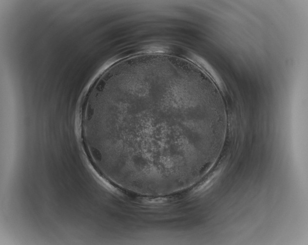X0000112750851200908201416