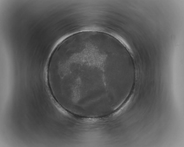 X0000112750854200908201416