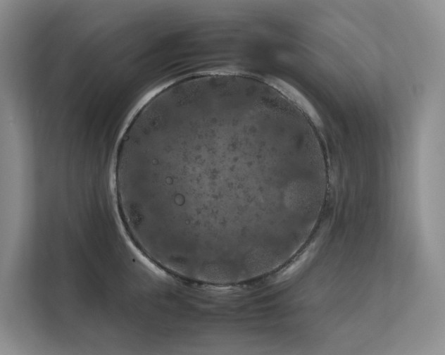 X0000112750855200908201416