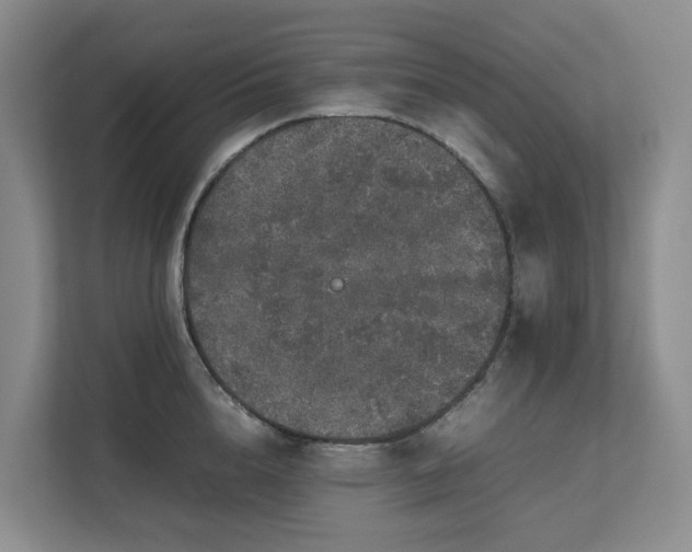 X0000112750856200908201416
