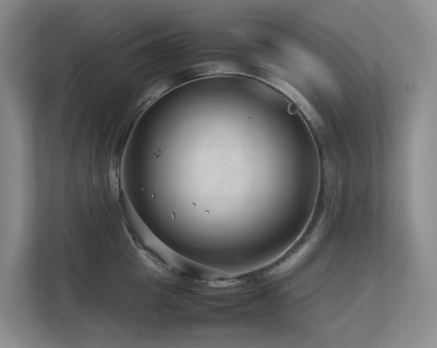 X0000112750857200908201416