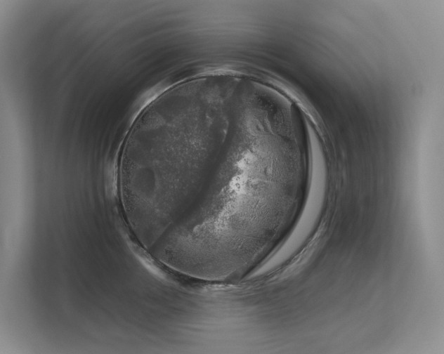 X0000112750858200908201416