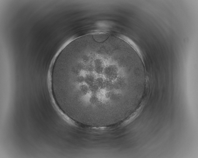 X0000112750859200908201416