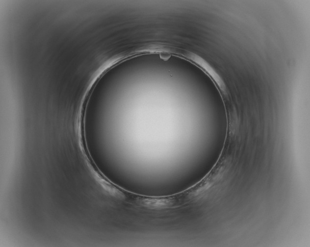 X0000112750861200908201416