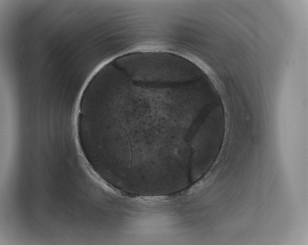 X0000112750864200908201416