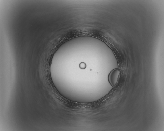 X0000112750865200908201416