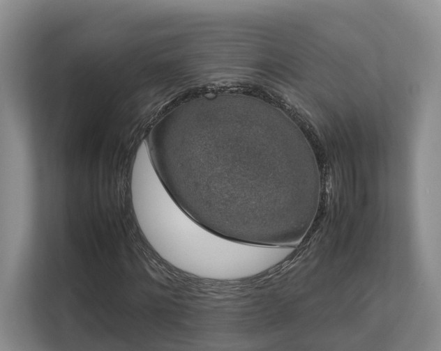 X0000112750868200908201415