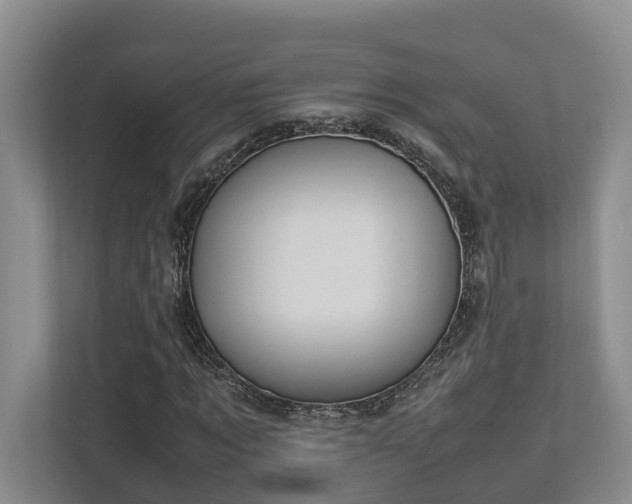 X0000112750869200908201415