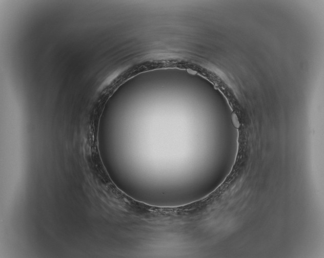 X0000112750871200908201415