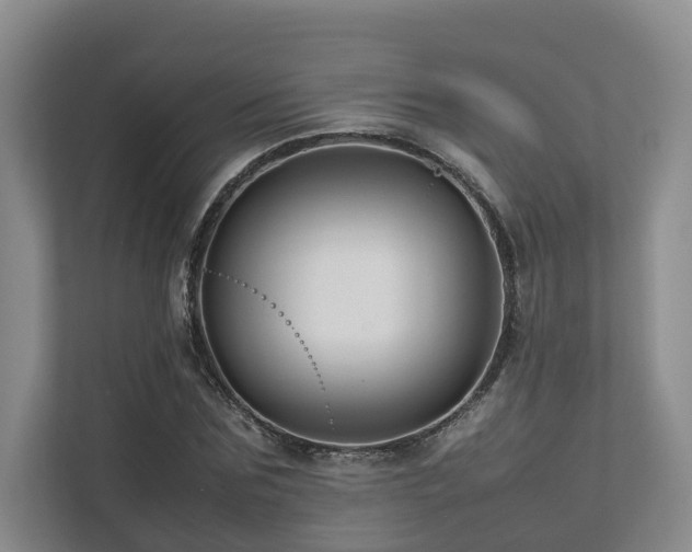 X0000112750875200908201415