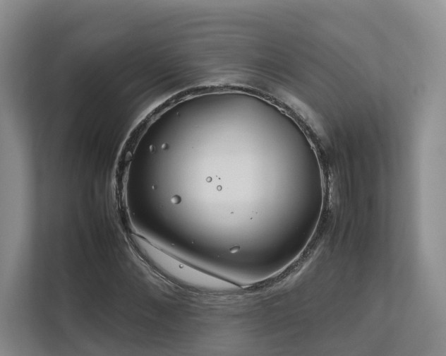 X0000112750876200908201415