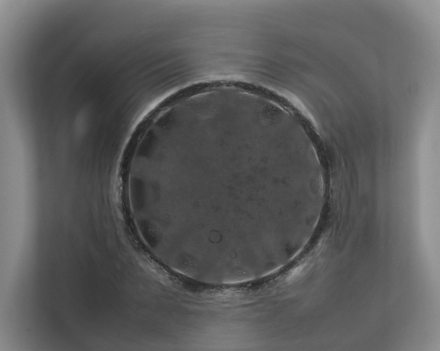 X0000112750879200908201415