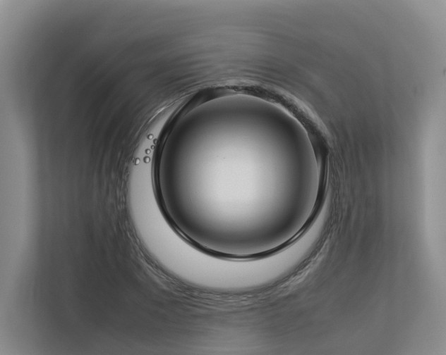 X0000112750881200908201415