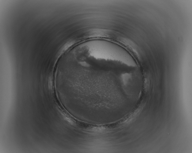 X0000112750882200908201415