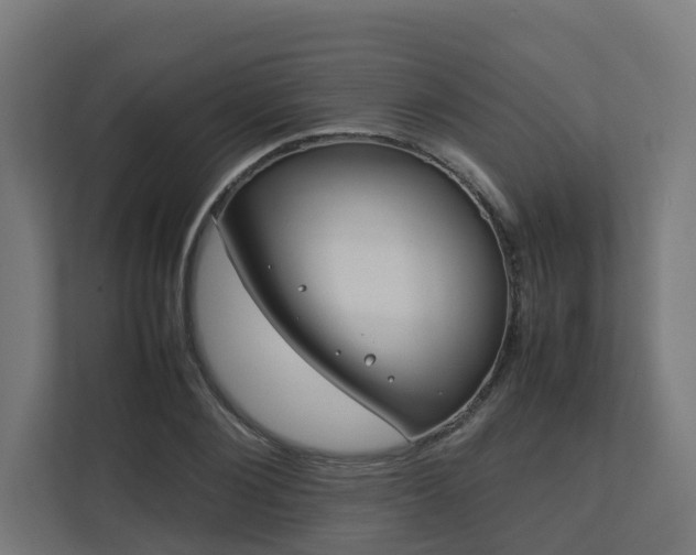 X0000112750884200908201415
