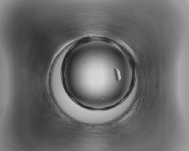 X0000112750885200908201415