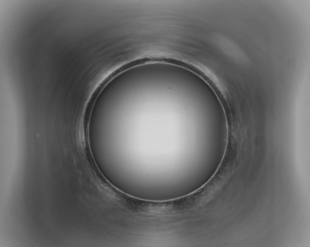 X0000112750887200908201415