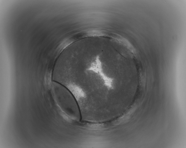 X0000112750889200908201415