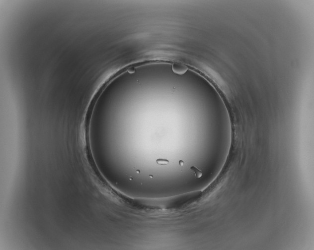 X0000112750891200908201415