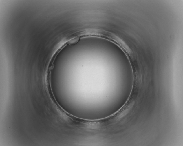 X0000112750893200908201415