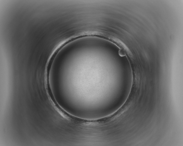 X0000112750894200908201415