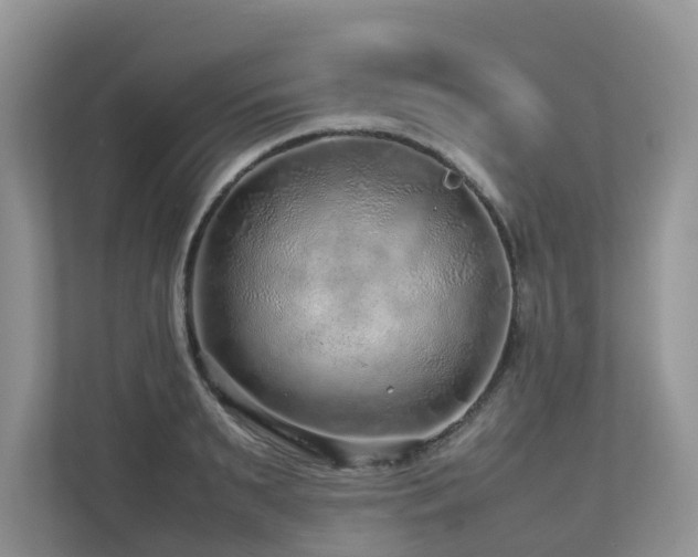 X0000112750895200908201415