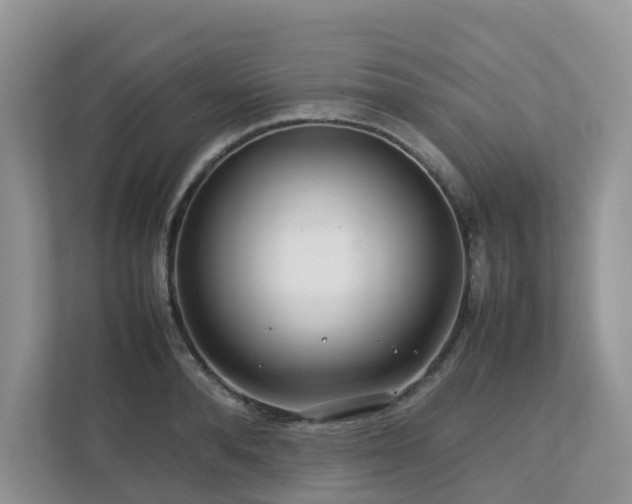 X0000112750896200908201415
