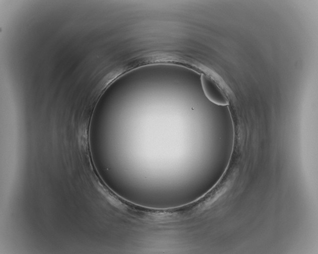 X0000112750897200908201415