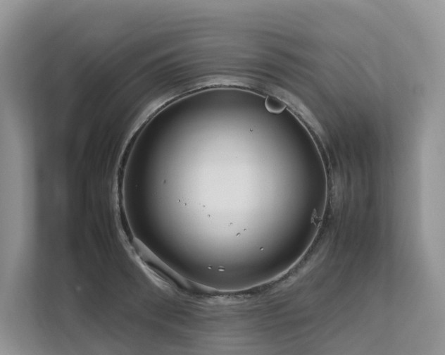 X0000112750898200908201415