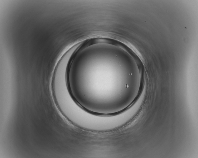 X0000112750901200908201415