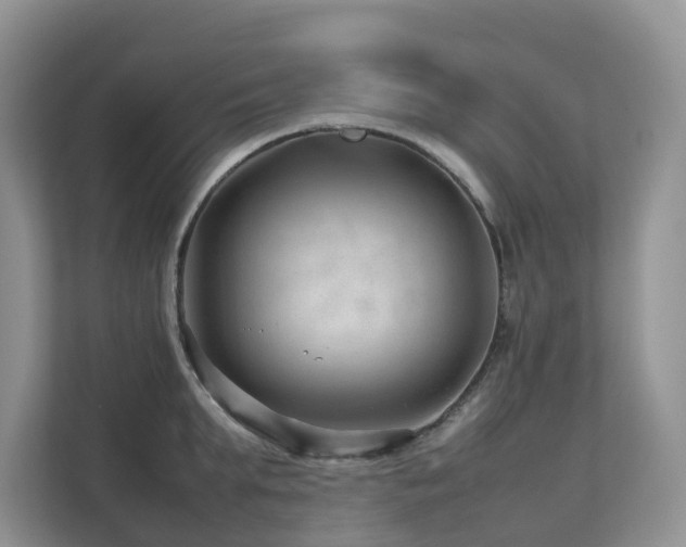 X0000112750903200908201415
