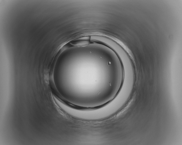 X0000112750905200908201415