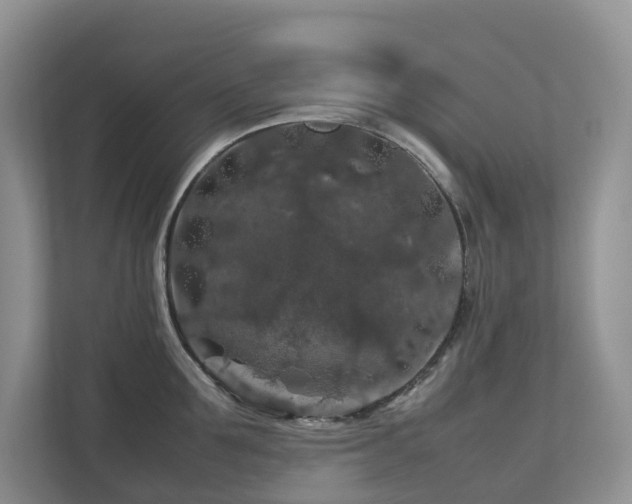 X0000112750907200908201415