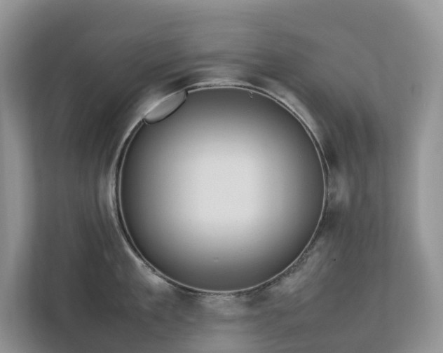 X0000112750909200908201415