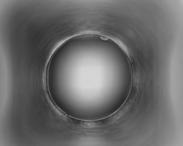 X0000112750911200908201415