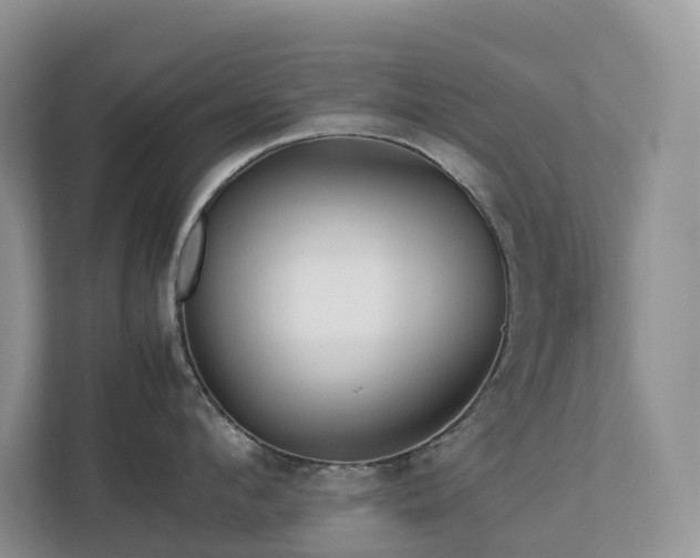 X0000112750912200908201415