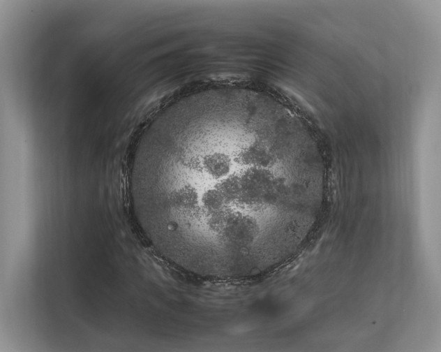 X0000112750917200908201414