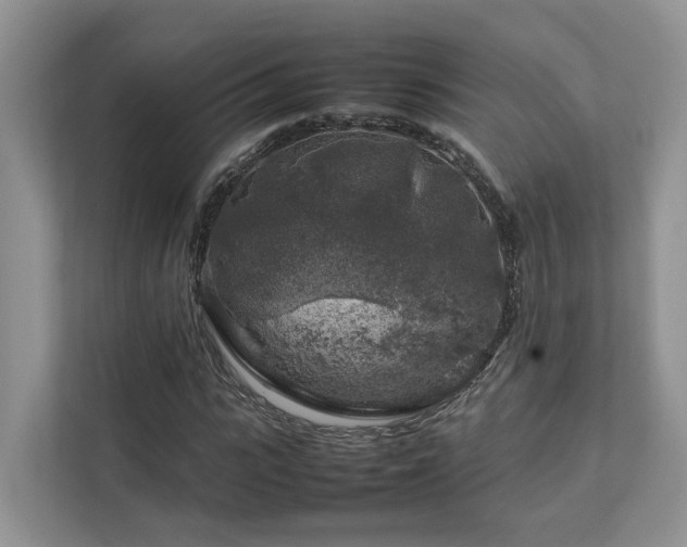 X0000112750919200908201414