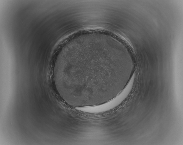 X0000112750920200908201414