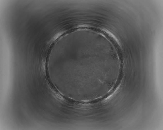 X0000112750921200908201414