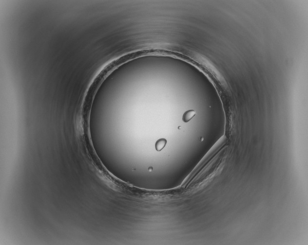 X0000112750924200908201414