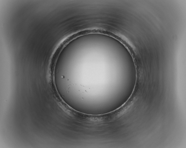 X0000112750927200908201414