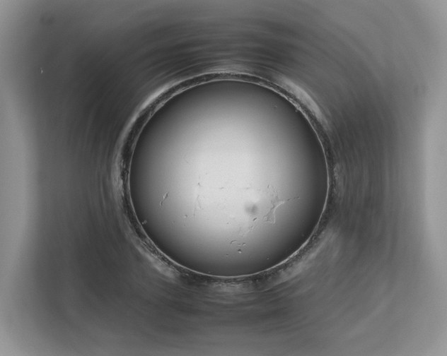 X0000112750931200908201415