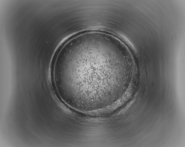 X0000112750932200908201415