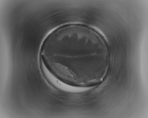 X0000112750935200908201415