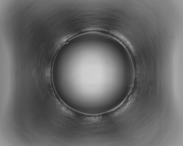 X0000112750937200908201415